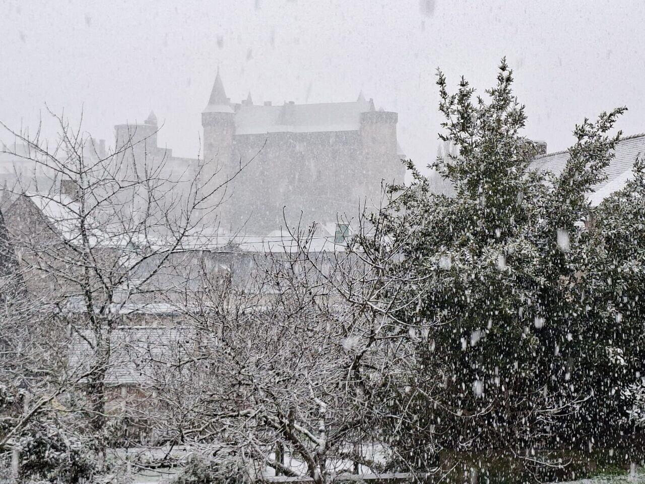 Froid, neige et cuir chevelu fragilisé : pourquoi la gamme YULE est essentielle cet hiver