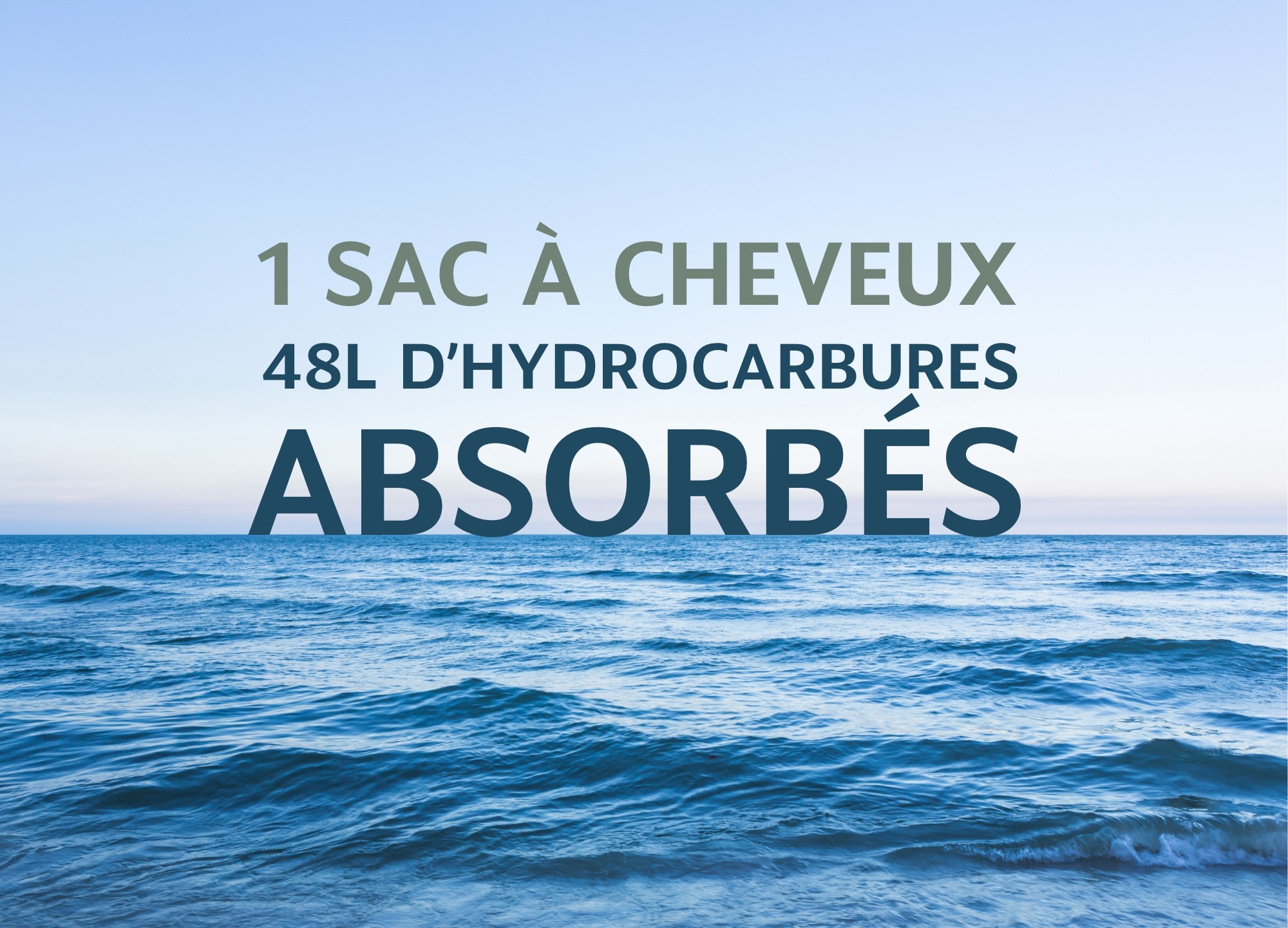 Mon geste pour la planète. Coupés, vos cheveux sont précieux, ils dépolluent les océans et isolent vos maisons.  
